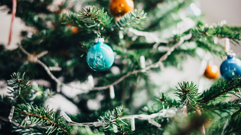 top 28 zecken weihnachtsbaum die f 252 nf fatalsten top 28 zecken weihnachtsbaum die f 252 nf fatalsten
